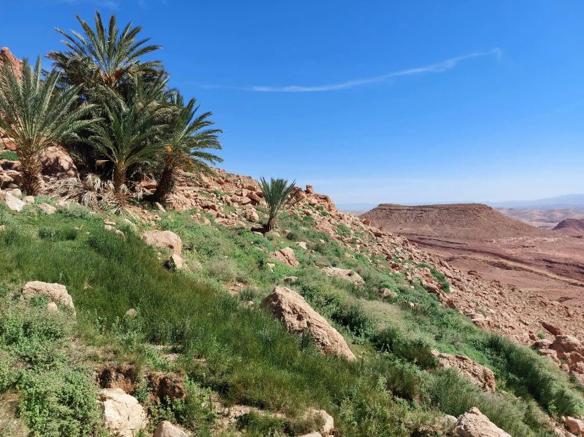 Todra Gorge, Tinghir, Drâa-Tafilalet, Morocco